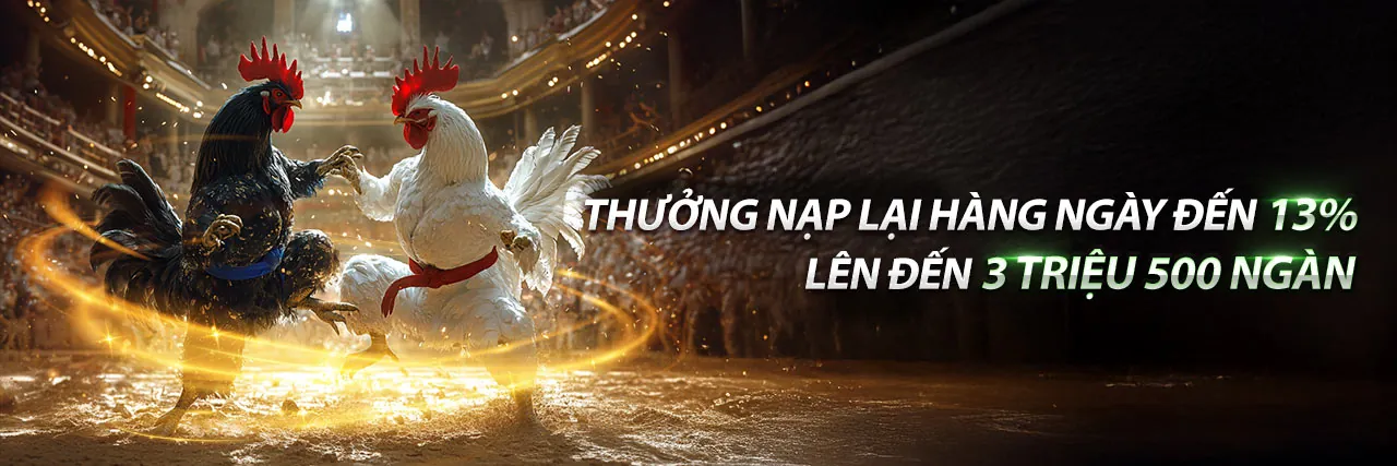 Đá Gà Trực Tuyến Hấp Dẫn tại 99win55